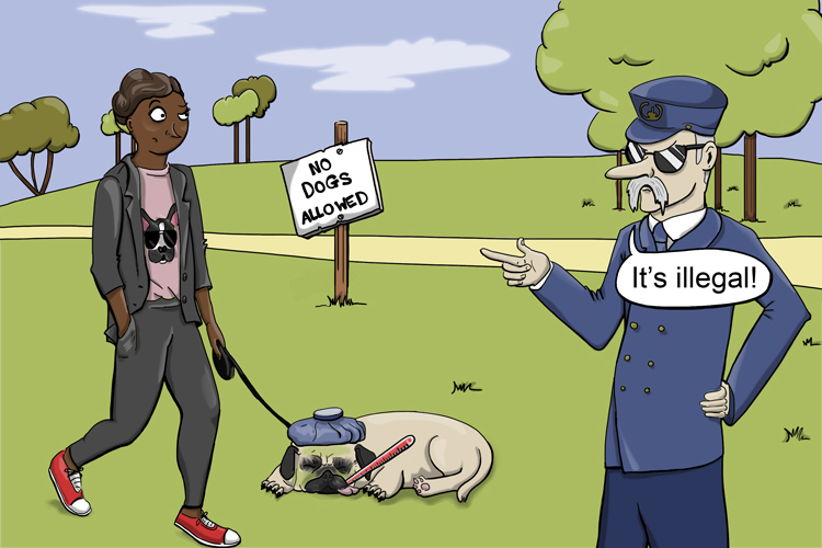 Ill is it? (illicit). That's no excuse — it's still illegal to allow the dog on the grass.
